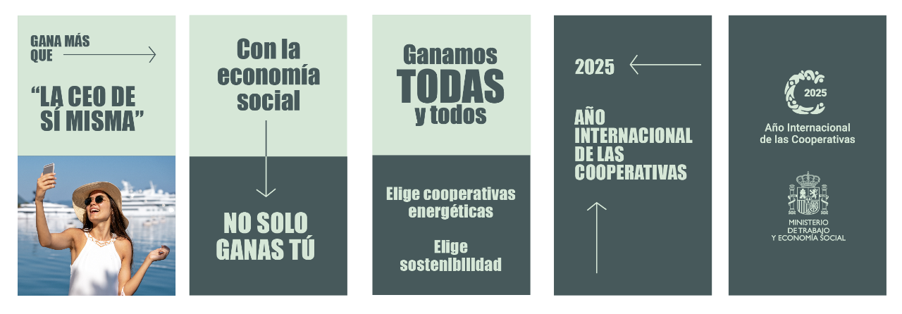Cartel - Año de las cooperativas 2025 